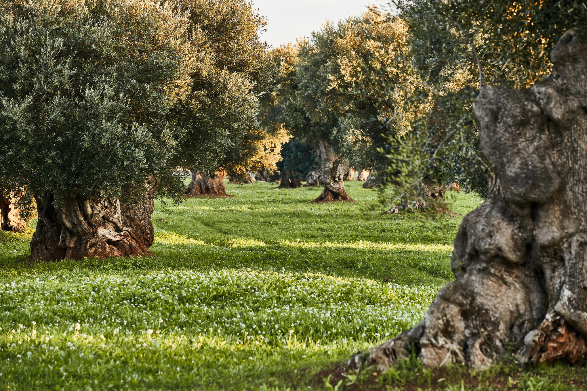 Leverantörers integritetspolicy