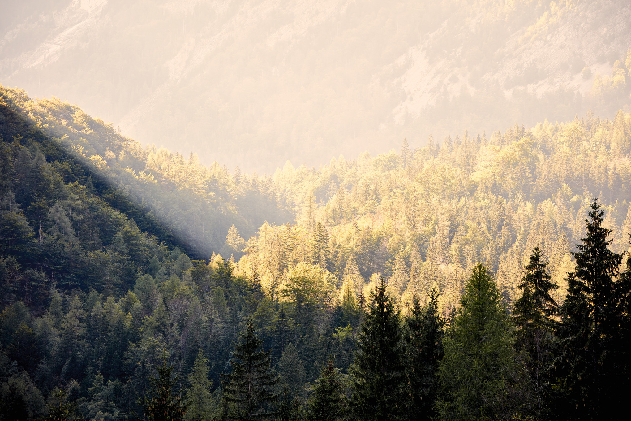 STIHL-försäljningsbolag världen över