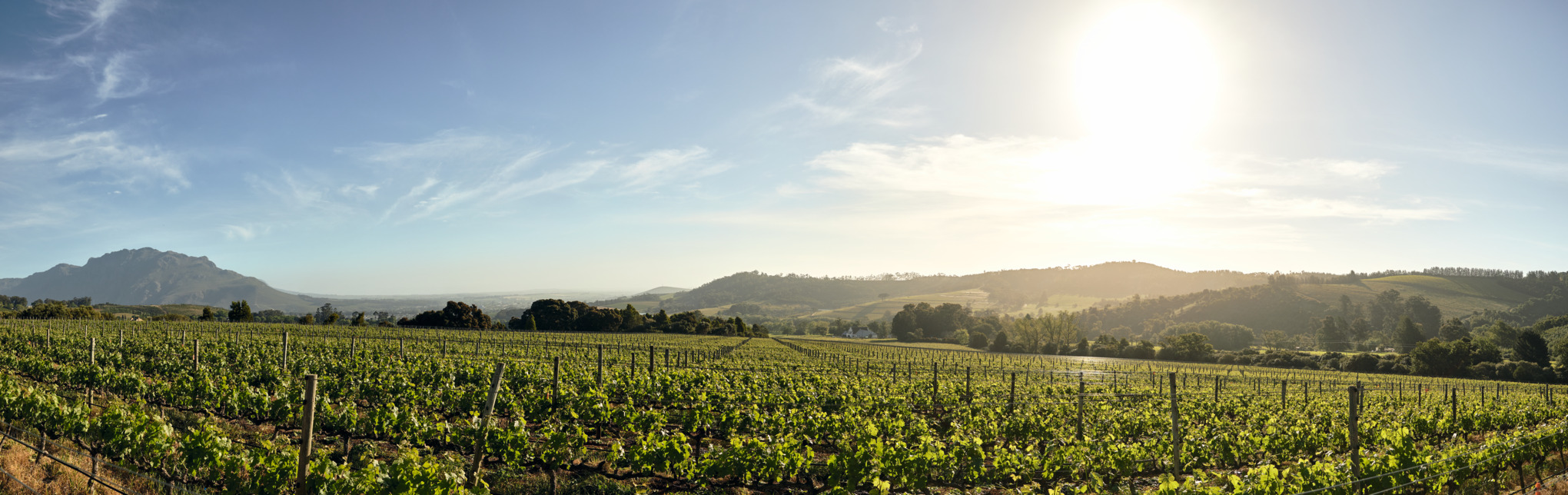 STIHL säljbolag Afrika