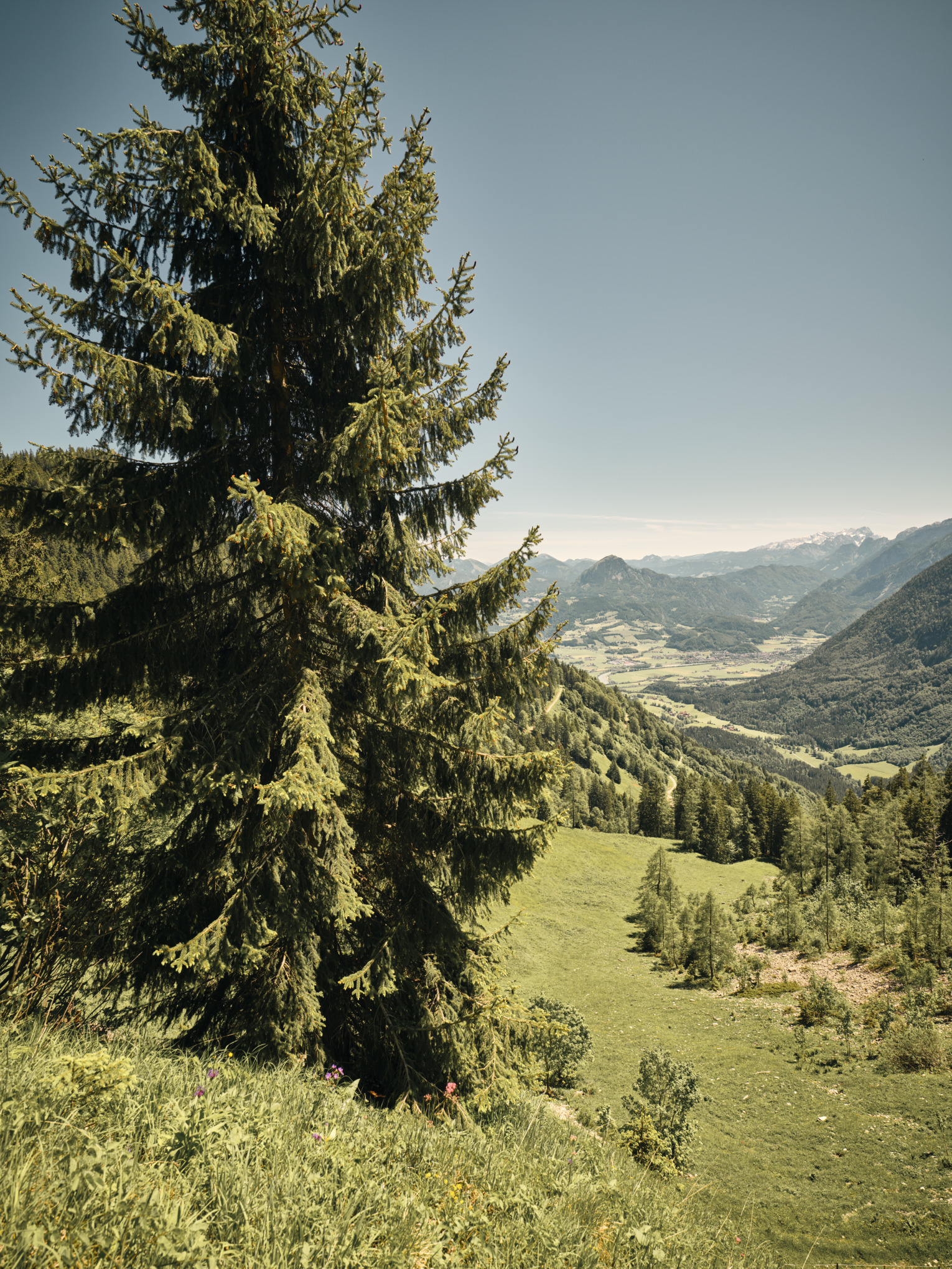 Hållbarhetsstrategi