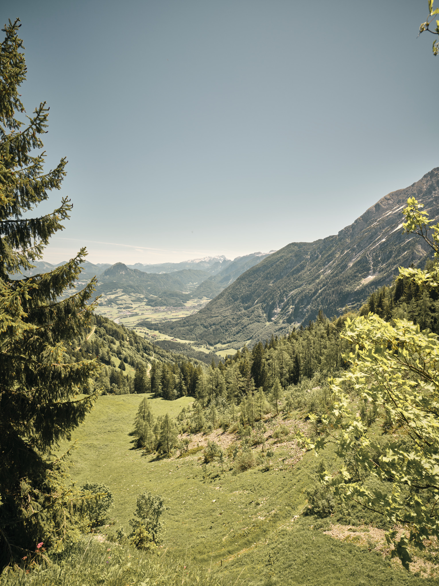 Stihls hållbarhetsrapport