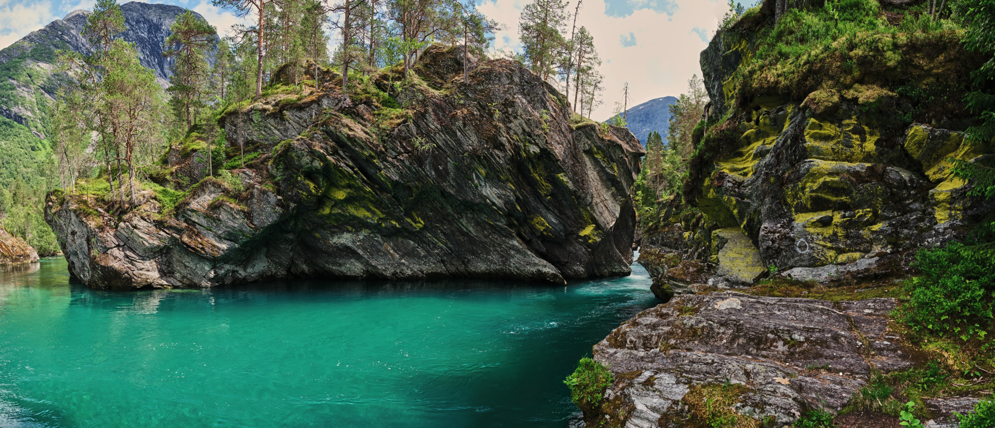 STIHLs säljbolag Australien/Stillahavsområdet